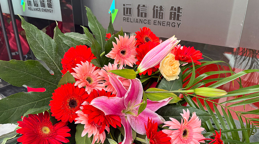 乔迁大吉，再启新程 | 江苏杏鑫娱乐储能办公楼喜迁新址